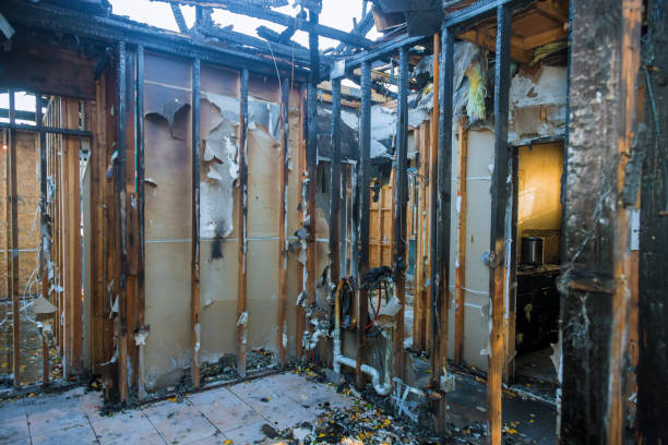 Professional Fire Damage Removal technician working in Manhattan, IL